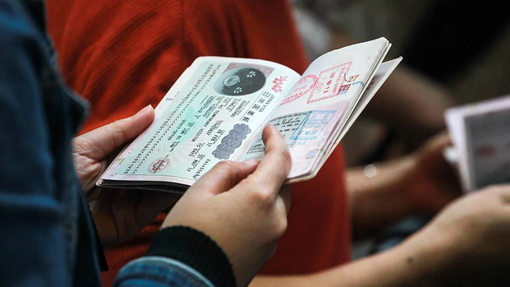 track your e-visa russia